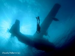 Sea-plane and diver. San Salvador, Bahamas. Nikon CP 5000... by Claudia Pellarini 